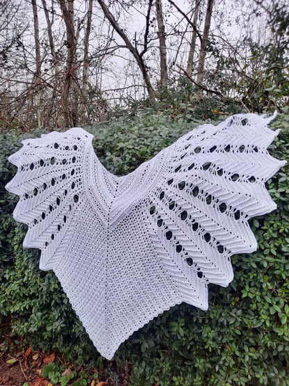 Freefly Shawl Crochet Pattern