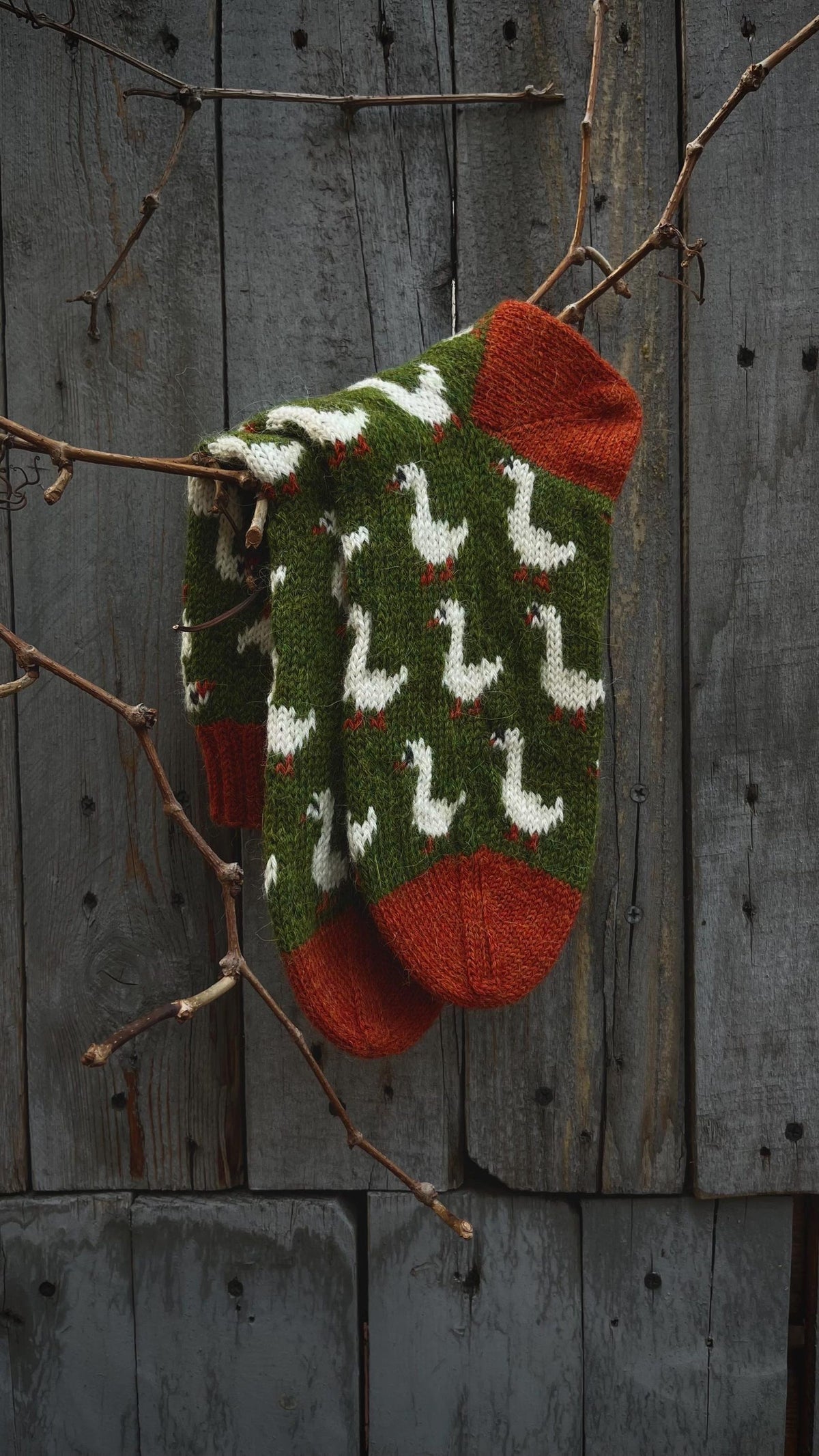 Goosey Cozy Socks Knitting Pattern