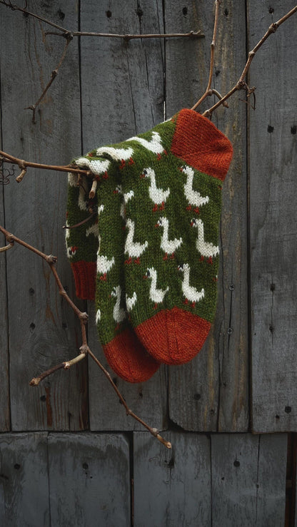 Goosey Cozy Socks Knitting Pattern